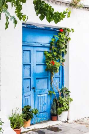 Blue Greek door with potted plants and greenery in Santorini, Greece.